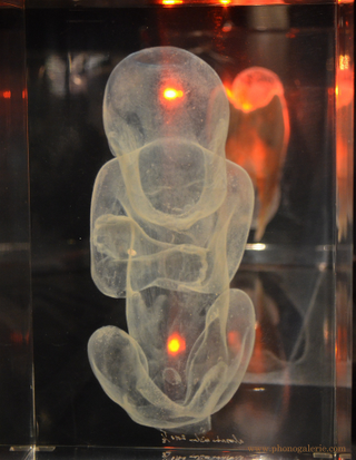 Illustration for article titled And now, for no reason whatsoever, superheroes as fetuses